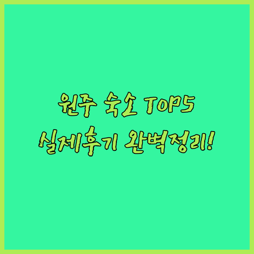 원주 여행 숙소 베스트 5 뉴스카이 오키드 비즈인 실제 후기 및 특징 정리