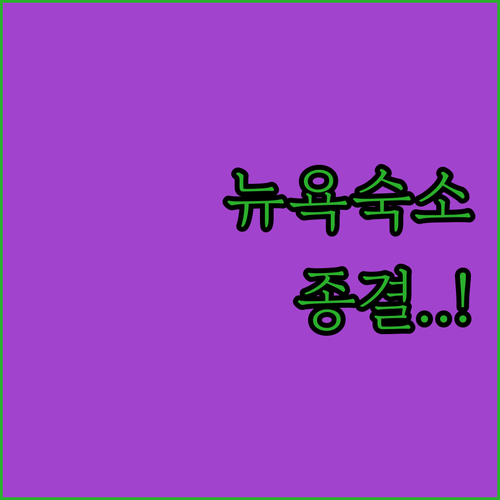 뉴욕 호텔 추천 타임스퀘어 근처 맨해튼 숙소 위치 및 시설 비교 분석