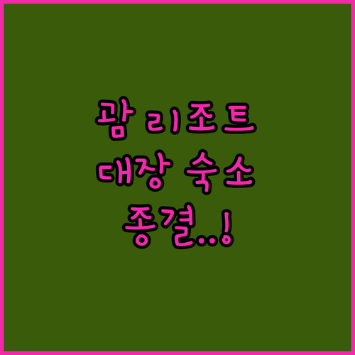 괌 리조트 순위 정격 비교 위치 대장 숙소와 럭셔리 호캉스 호텔 추천