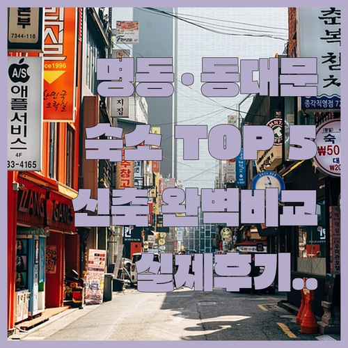 동대문 명동 여행 숙소 추천 5곳 위치 장점 실제 투숙객 후기 분석 및 신축 호스텔 호텔 비교 정보
