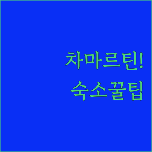 마드리드 숙소 추천 차마르틴 역 초인접 호텔 특징과 객실 시설 알아보기