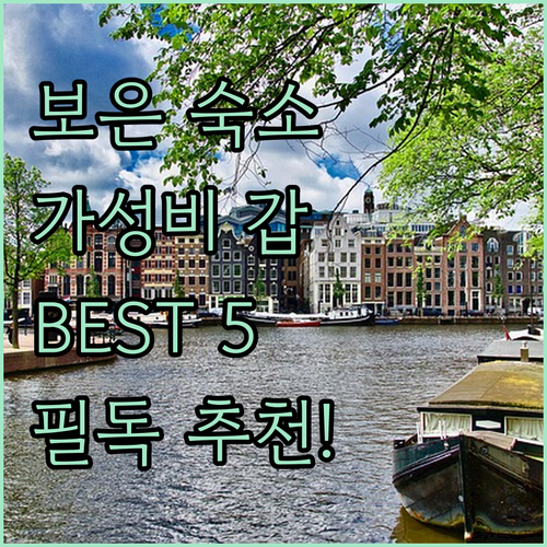 보은 가성비 숙소 BEST 5 특징부터 위치까지 한눈에 비교하기
