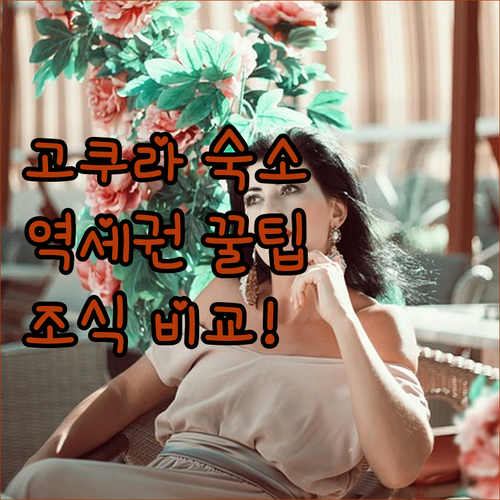 기타큐슈 고쿠라 숙소 추천 5곳 역세권 가성비 조식 비교