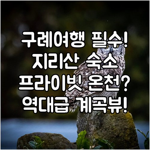 구례 숙소 추천 프라이빗 온천부터 계곡뷰까지 모아본 지리산 여행