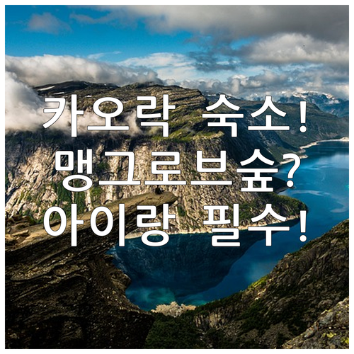 카오락 가족 숙소 추천 맹그로브 탐방로와 열대우림을 아이와 함께 걷기 좋은 곳