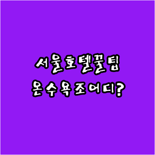 서울 호텔 추천 명동 중심가부터 사당역 온수욕조까지 취향대로 고르는 숙소