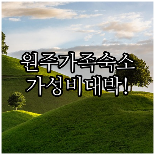 원주 가족 숙소 추천 뮤지엄산 근처 리조트와 도심 가성비 호텔