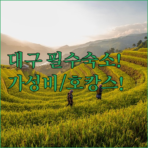 대구 숙소 추천 엑스코 근처 호캉스부터 동대구역 가성비 호텔까지